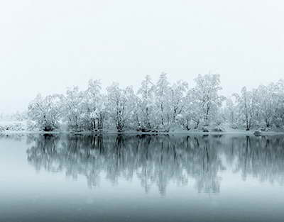 В Бишкеке застрелился замглавы службы судоисполнителей: ГУВД рассказало подробности