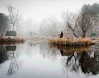 «Байдың балалары полицияның бетіне келіп түкіреді»: белгілі заңгер ішкі істер саласындағы былықтың бетін ашты