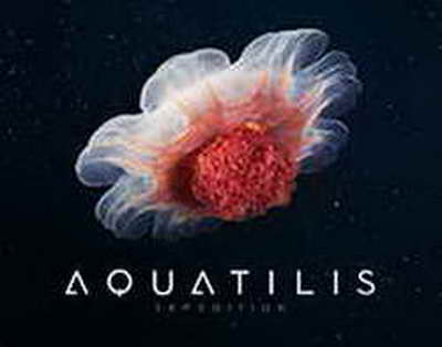 'Azlıqda qalsaq da, qalmasaq da...' - Emin arxayınlaşmağa səbəb görmür